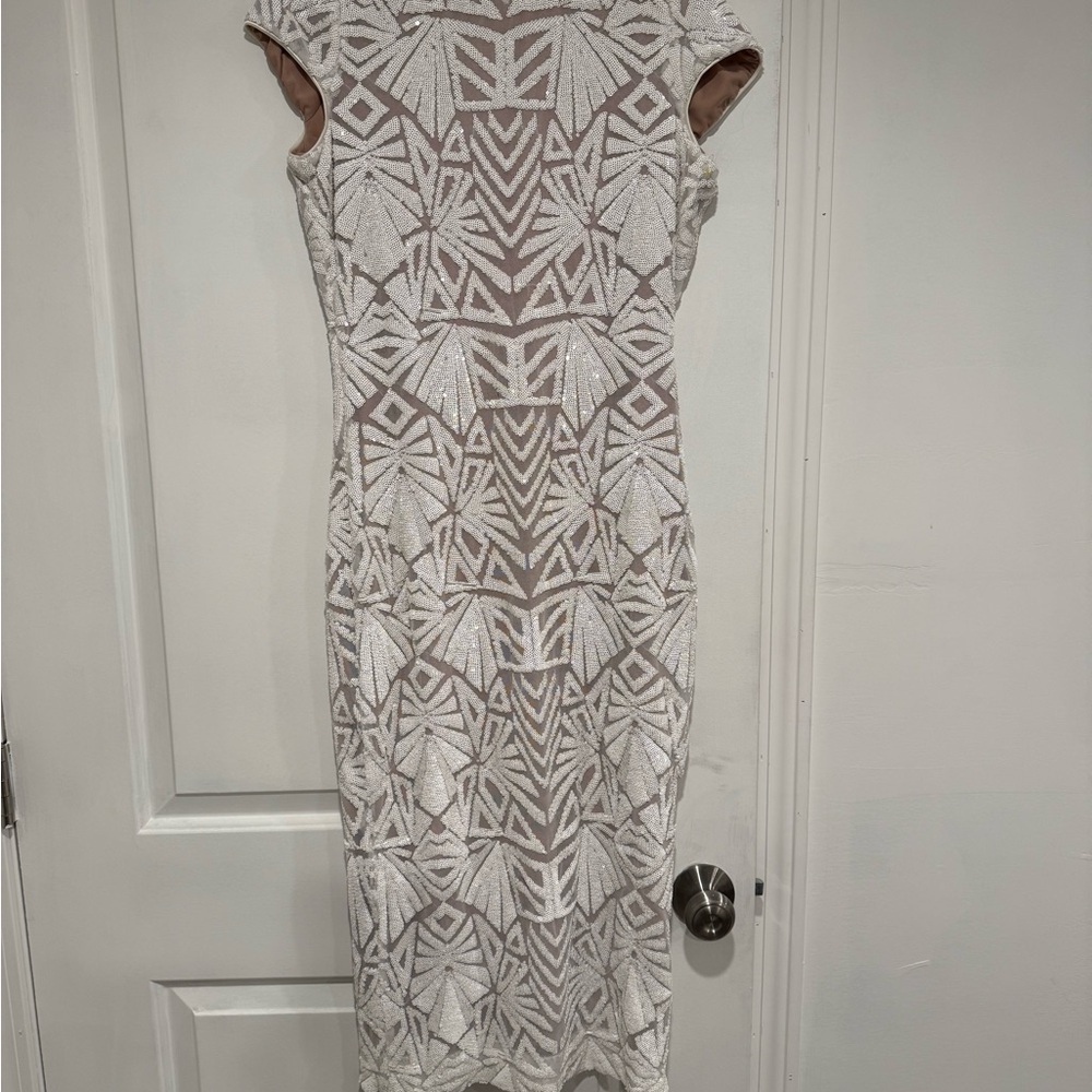 Dress the Population Sequin Dress